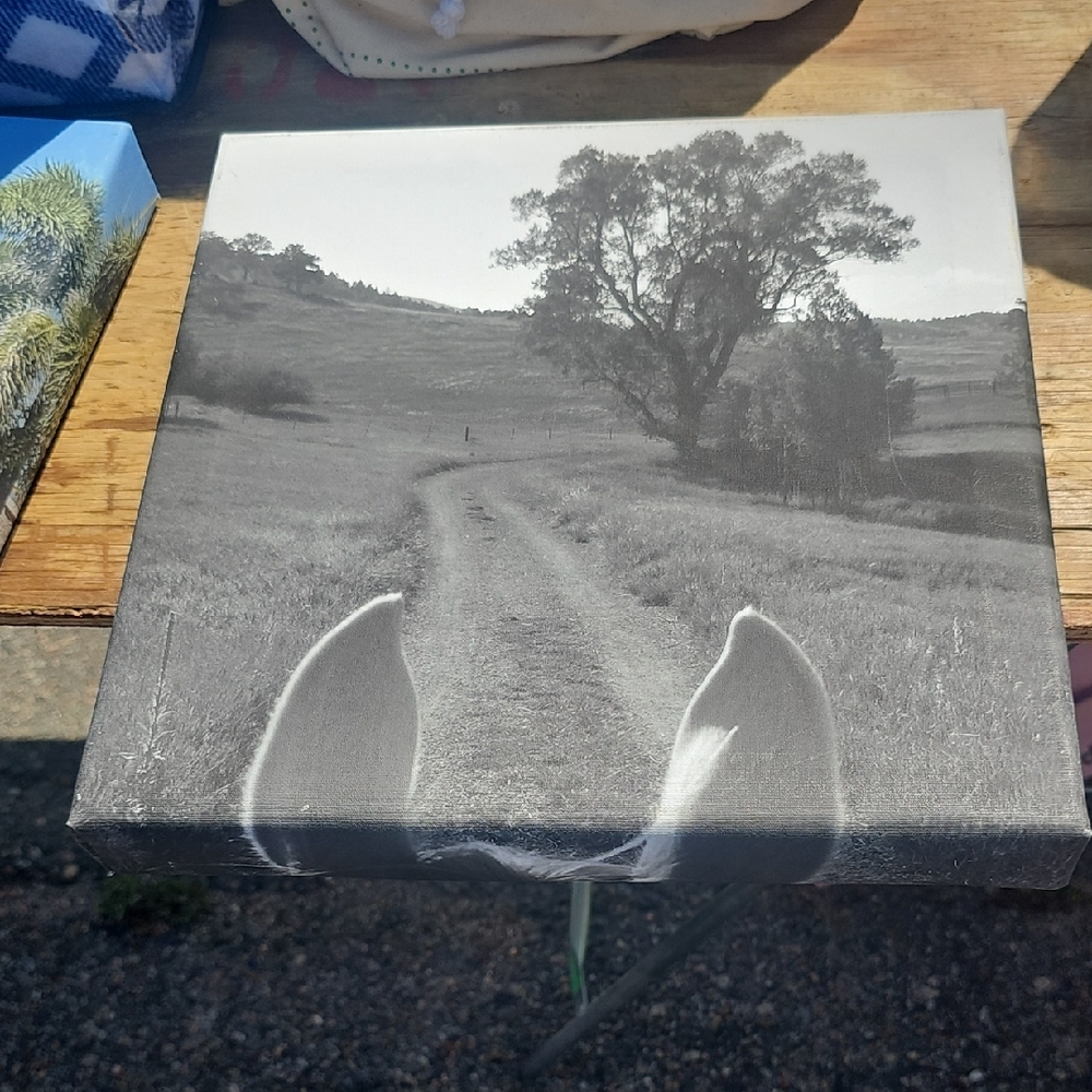 Black and White Landscape Canvas Art